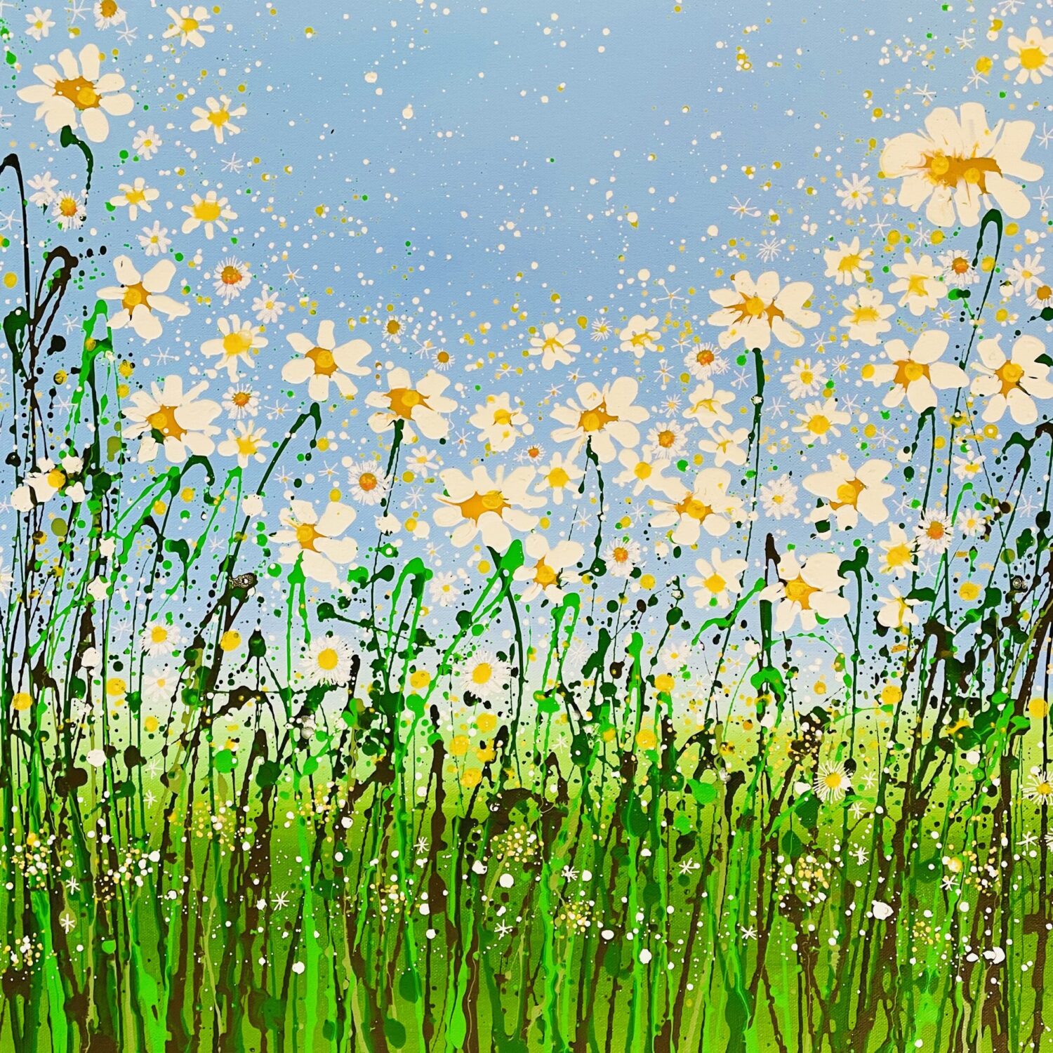 Spring Daisies 50x50x4cm