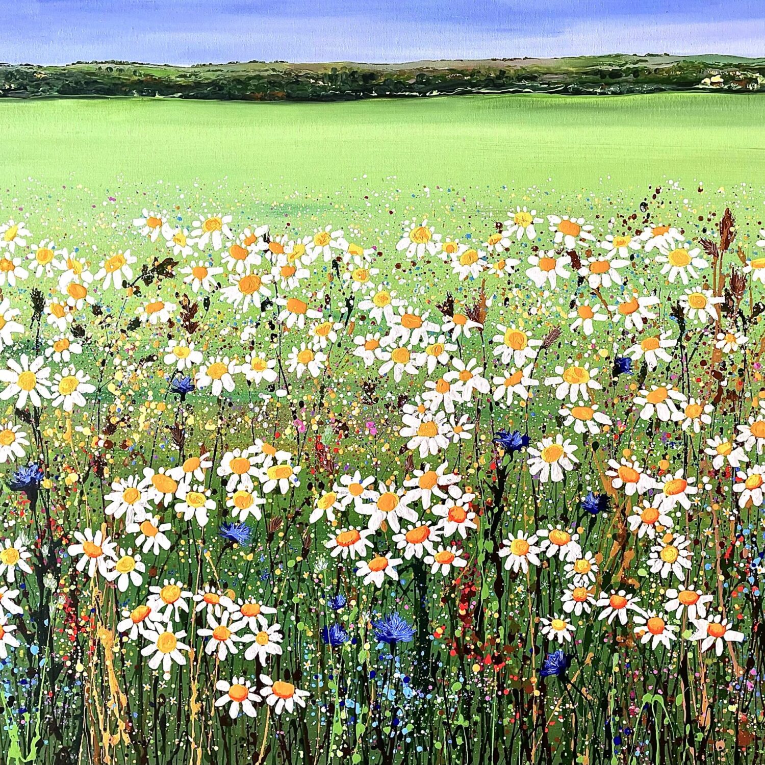 Field Of Summer Daisies 16.4×11.5cm