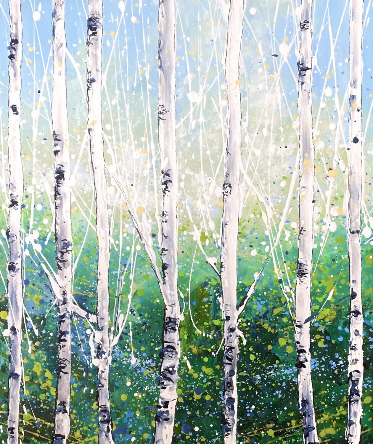Silver Birch Walk 1.
