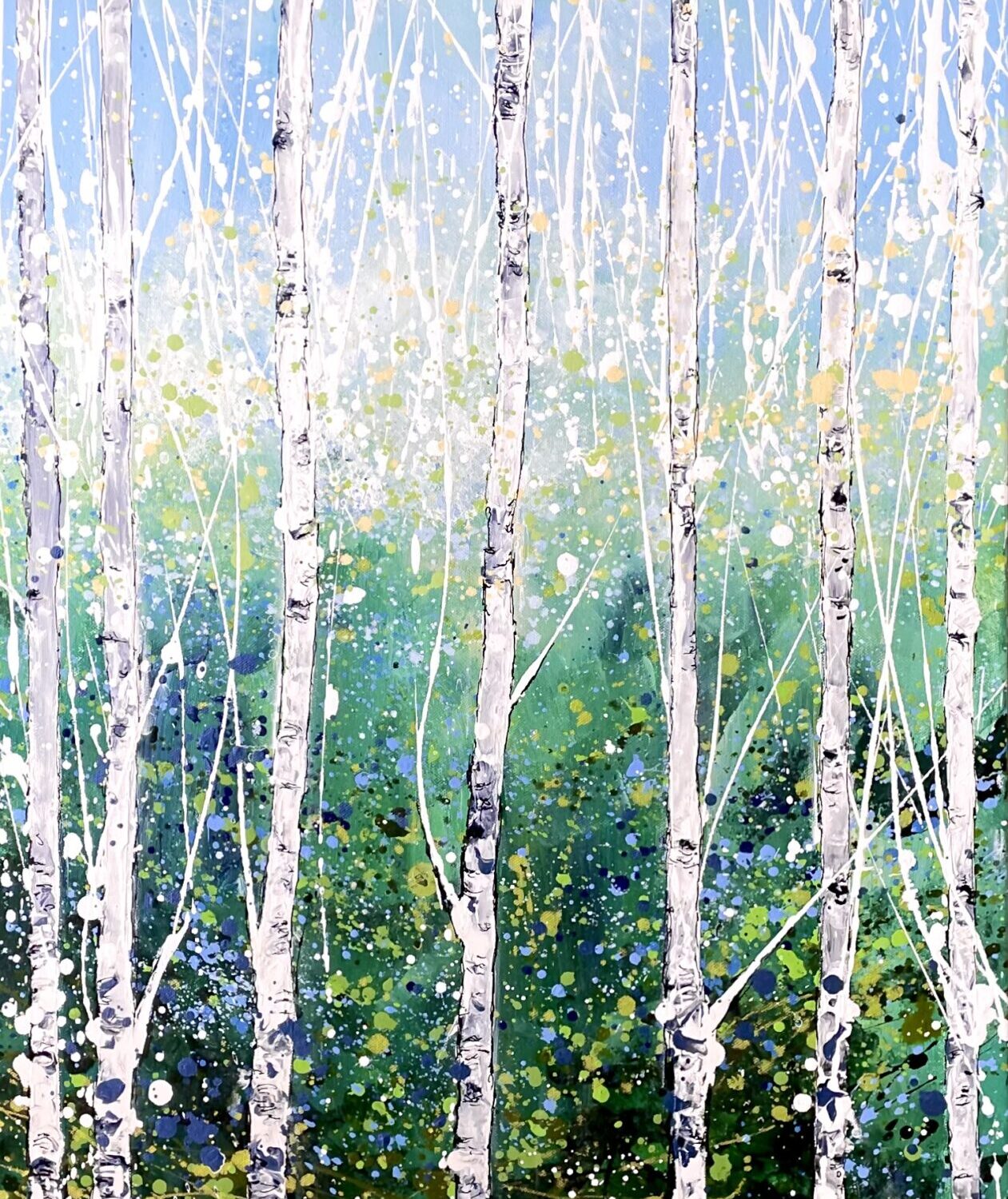 Silver Birch Walk 2.