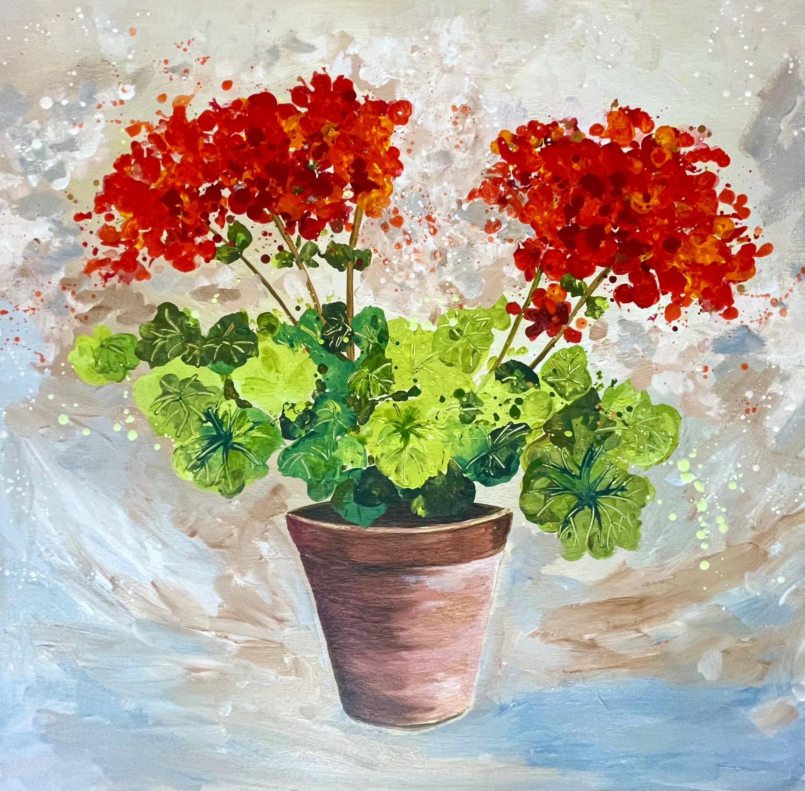 Pelargonium Pals 60x60x4cm